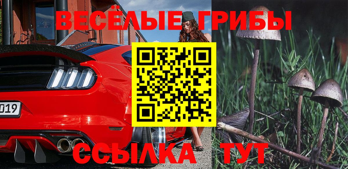 Псилоцибиновые грибы ЛСД  Псилоцибиновые грибы Psilocybine cubensis  Балашиха  Вход с VPN 