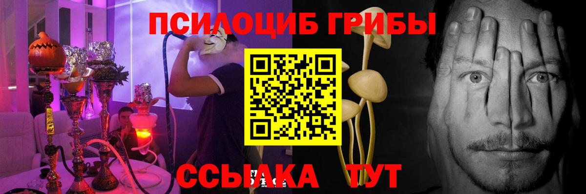 Псилоцибиновые грибы GOLDEN TEACHER Балашиха